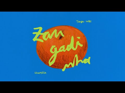 TIAGO IORC + LUDMILLA - Zangadinha (Visualizer Oficial)