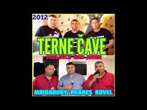 PAVLOVCE TERNE CAVE 41   MRIDAJORY PHARES ROVAV   rok 2012