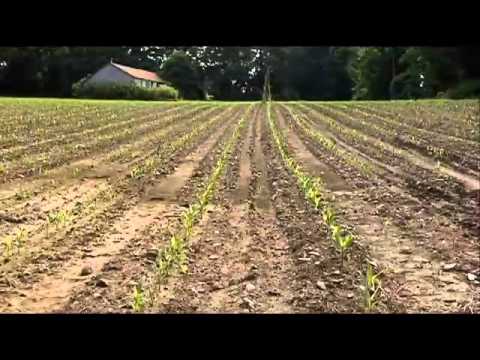 Neighbors squawk about farmer's noise cannons