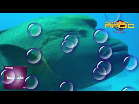 Sarkis Edwards ft Sound Hackers - Something to Believe