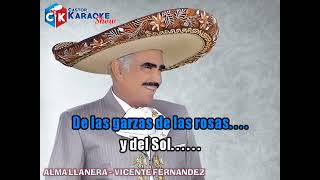 Alma Llanera   Vicente Fernandez   karaoke