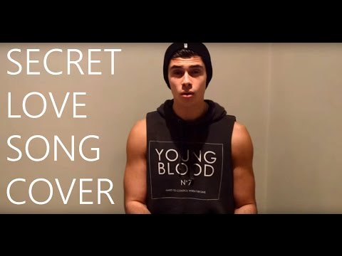 SECRET LOVE SONG - LITTLE MIX FT. JASON DERULO ANDREW LAMBROU COVER