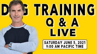 Dog Training Q&amp;A LIVE