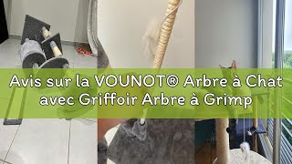 Avis sur la VOUNOT® Arbre à Chat avec Griffoir Arbre à Grimper pour Chat Centre d’Activités avec Nic