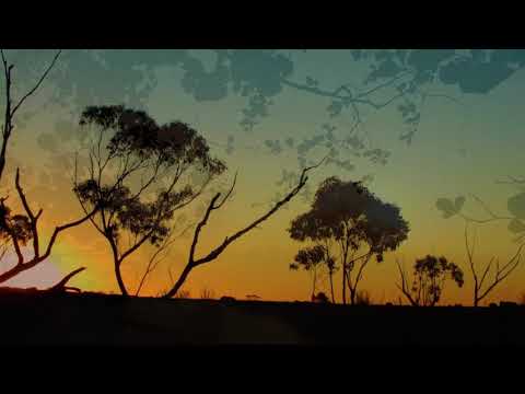 Ombra Mai Fu  -  Paul Schwartz