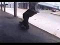 DGC Brandon Stanley