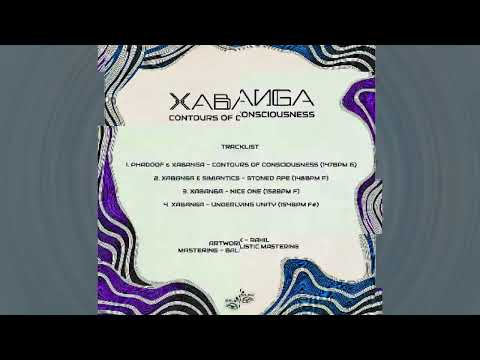 Xabanga - Contours Of Consciousness EP (Believe Lab)