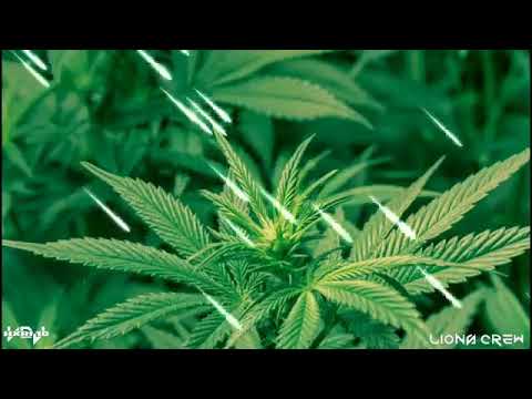 Hervin Reggae || HervinHits || VLCHXRI18