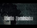 Izinto Zomhlaba