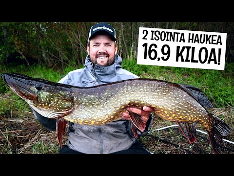 PARAS KALAREISSU IKINÄ! - 8,5 JA 8,4 KG HAUET SAMASTA SPOTISTA