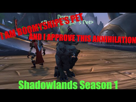 Seething Shore Perfection - Shadowlands 9.0.2