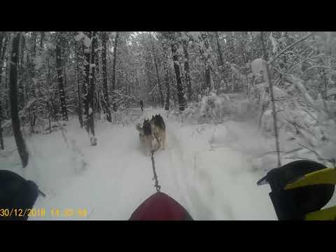 2018 1230 142351 001