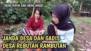 Download lagu Seru!! Janda dan gadis desa cantik | sedang rebutan makan buah rambutan | Neng Anggi dan neng Ririn. mp3