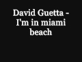 I'm in miami beach - David Guetta .wmv 