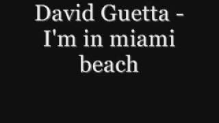I'm in miami beach - David Guetta .wmv