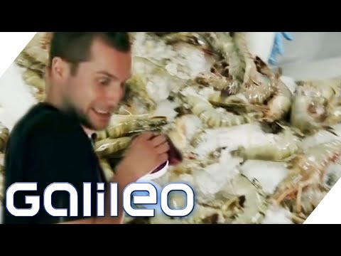 "This is disgusting!" - How hard shrimp farmers work | Galileo | ProSieben