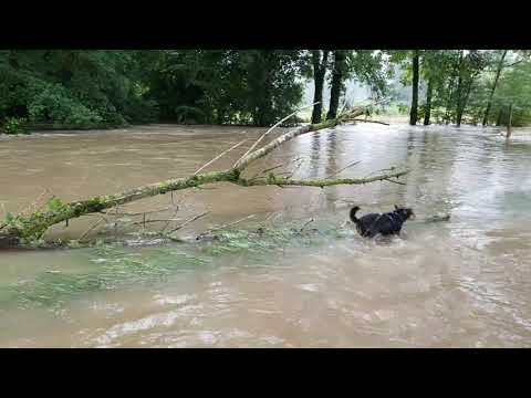 Überschwemmungen im Wurmtal,... auf dem Weg nach Hause