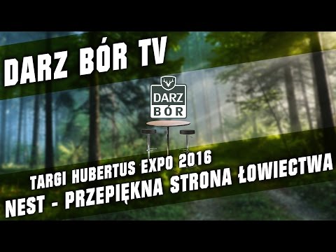 Studio Darz Bór - Nest - przepiękna strona łowiectwa!