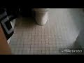 Harry Potter Toilet Transportation Funny