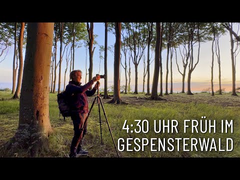 4:30 a.m. in the Ghost Forest ✱ Sunrise in Nienhagen