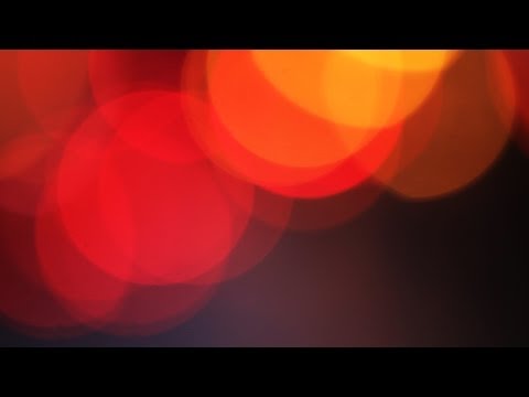 Programmed to Fight or Flee: the neurological origins of stress