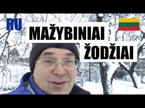 ЛИТОВСКИЙ ЯЗЫК - 87 -  MAŽYBINIAI DAIKTAVARDŽIAI (ŠEIMA)