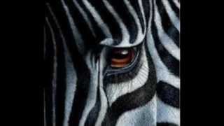 The Beach Boys-Pet Sounds