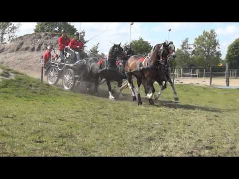 Marathon Damwoude 2014 ( H1)