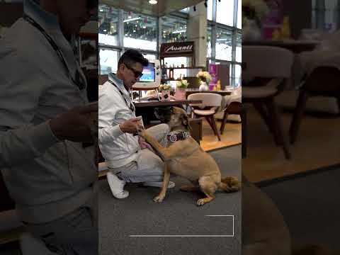 vista previa video - Feria del Hogar