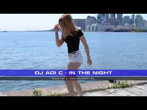 DJ ADI C - IN THE NIGHT (Martik C RMX)