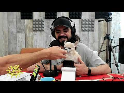 No Solo Perros y Gatos P04 | Genaro y Rogelia y el arte ligar con tu mascota (22/02/2020)
