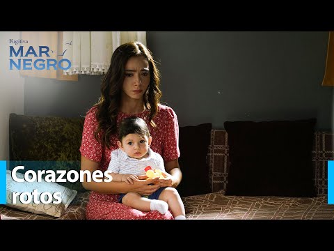 Mustafa lo siente mucho - Mar Negro Capítulo 183 | Fugitiva