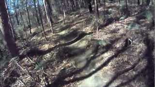 preview picture of video 'Hornsby MTB Park Blue Circuit January 2013'