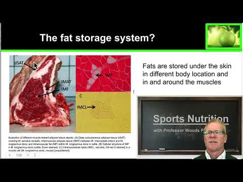 2.4 Measuring Calories and Power for Athletes thumbnail