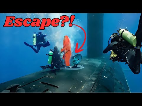 What Do Sailors Do If A Submarine Is Trapped Underwater? | Inside Submarine Escape Systems