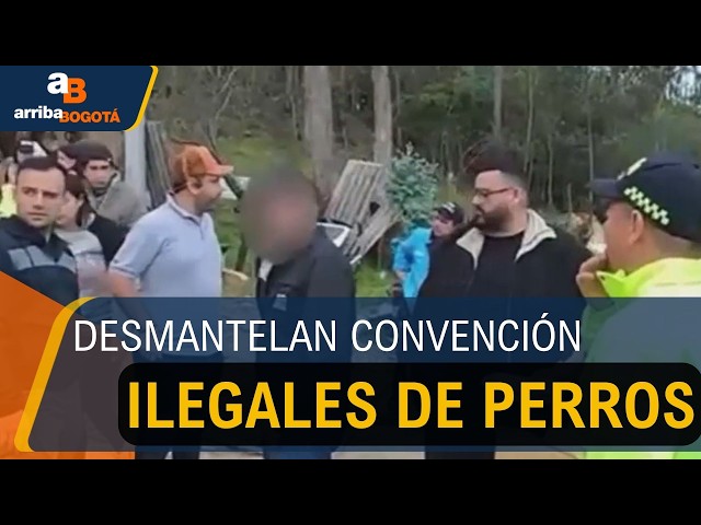 Caen 13 personas en operativo contra peleas ilegales de perros en La Calera