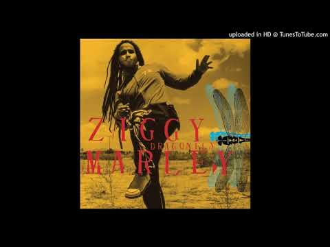 Shalom Salaam - Ziggy Marley (Private Music)