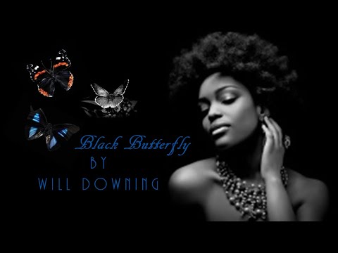 Video thumbnail for Black Butterly