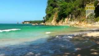 Gheorghe Zamfir - Summer of '42