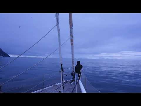 The Antarctic Calm