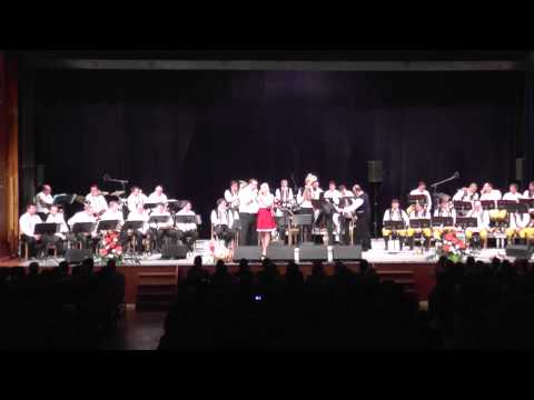 GALAKONCERT 60 Bohumir Kamenik Part 3