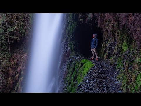 Hiking Eagle Creek After The Fire