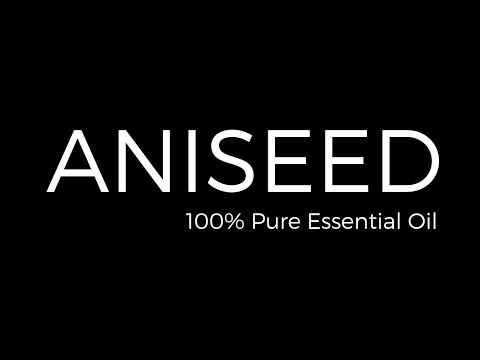 download lagu mp3 mp4 Aniseed Flavoured Sweets, download lagu Aniseed Flavoured Sweets gratis, unduh video klip Aniseed Flavoured Sweets