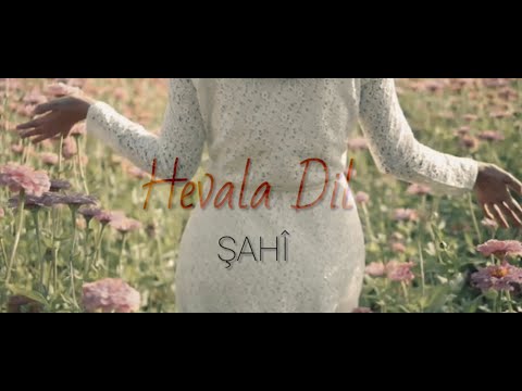 ŞAHÎ - Hevala Dil (2021) [New Official Video]  شاهي - هفالا دل (ورابامن هفالا دل)