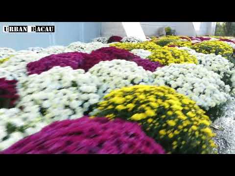 Manastirea Nechit / jud. Neamt