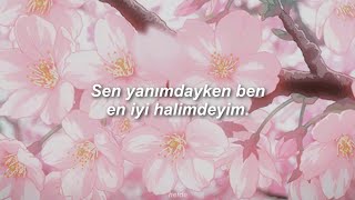 lovelytheband - coachella (türkçe çeviri)