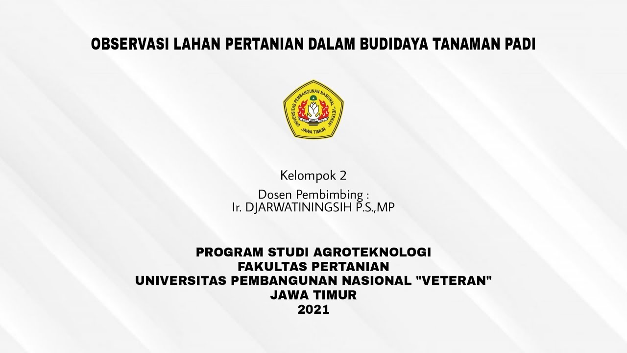 OBSERVASI LAHAN PERTANIAN DALAM BUDIDAYA TANAMAN PADI