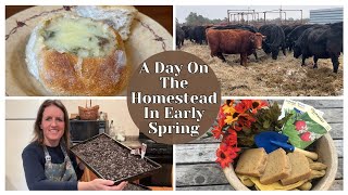 Early Spring Day In The Life || Sourdough Baking, Soap Making & More