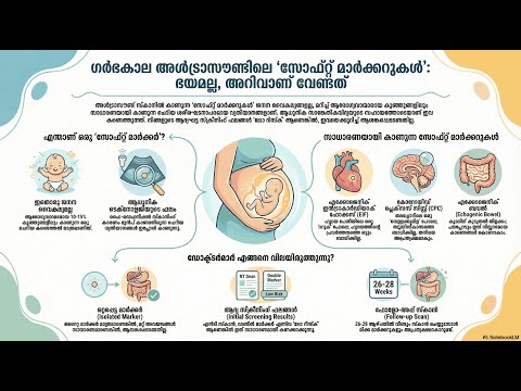 Soft Markers — video thumbnail