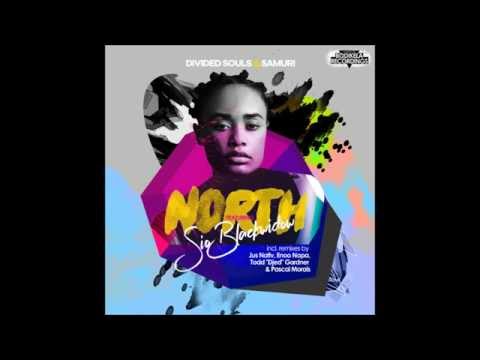 Divided Souls & Samuri feat. Sio - North (Jus Nativ Remix)